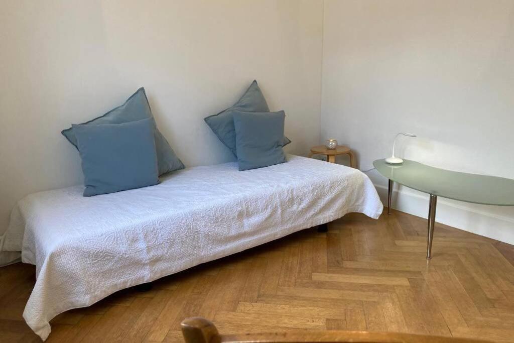 Parking & Appartement 2 Pieces Sans Traffic ローザンヌ エクステリア 写真